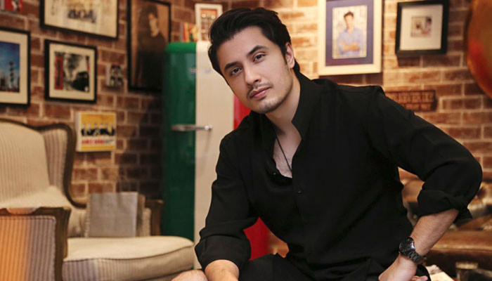 ملک میں وقت سے پہلے الیکشن کیلئے علی ظفر نے ووٹنگ کرا لی 1