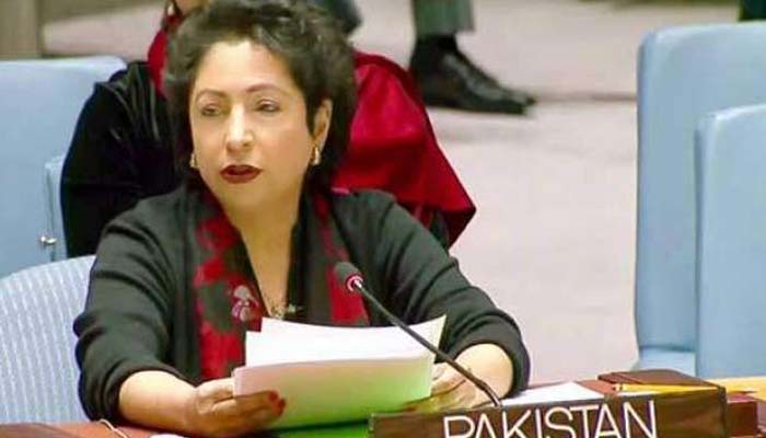 کشمیر اور فلسطین پر اقوام متحدہ کی قراردادوں پر عمل کیا جائے، پاکستان