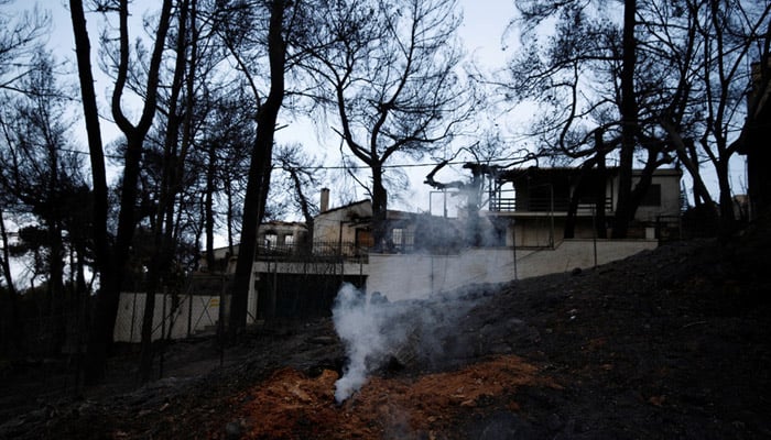 یونان کے جنگلات میں لگی آگ بے قابو ، ہلاکتیں 100ہو گئیں