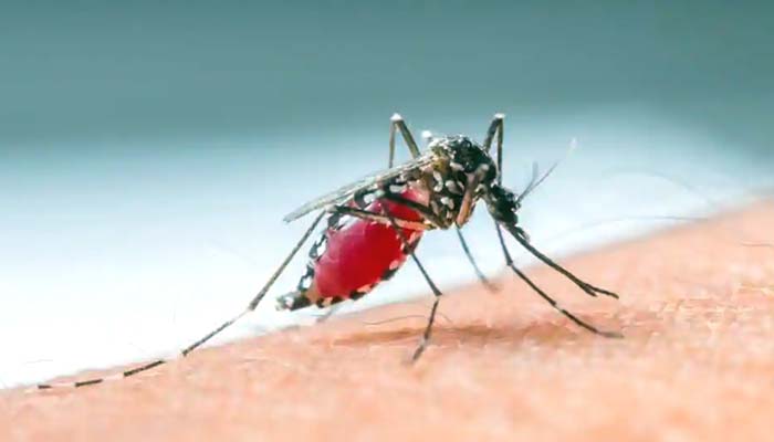 ملیریا کا نیا علاج دریافت