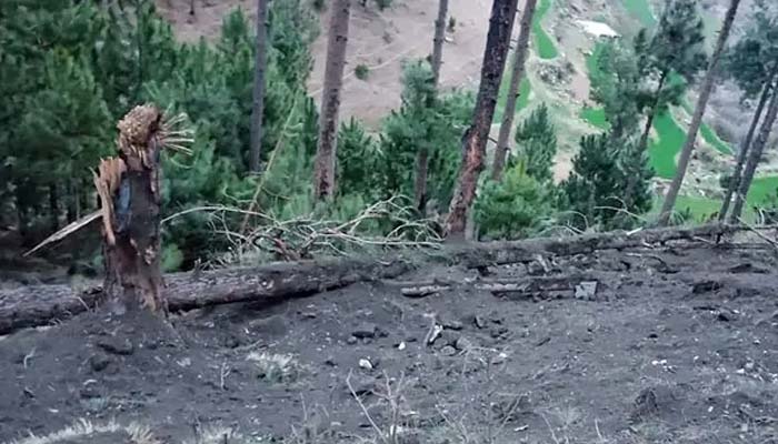 برطانیہ میں مقیم پاکستانی و کشمیری کمیونٹی بھارتی جارحیت سے ایم پیز کو آگاہ کریں، علی شان سونی