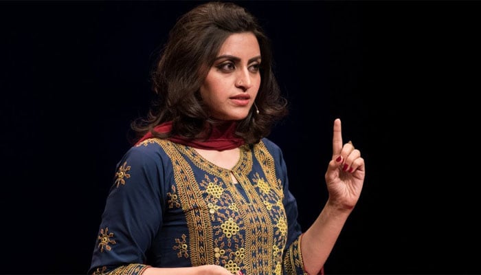 گلالئی اسماعیل، خفیہ اکائونٹس میں بھارت سمیت دیگر ممالک سے کروڑوں کی منتقلی، مقدمہ درج