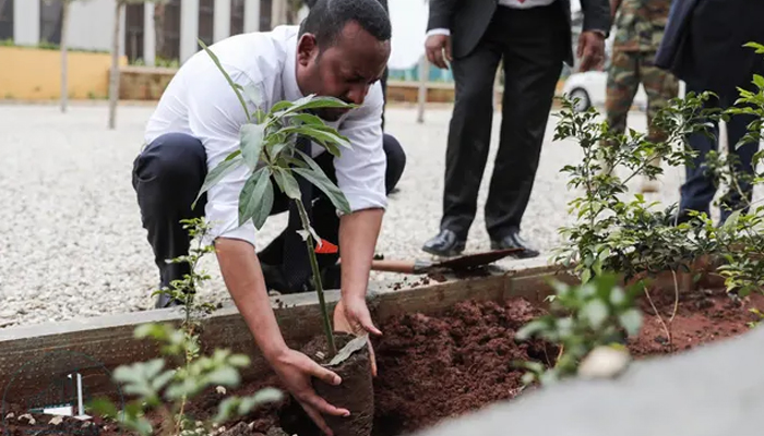 ایتھوپیا کا ایک دن میں 35؍ کروڑ درخت لگانے کا ریکارڈ