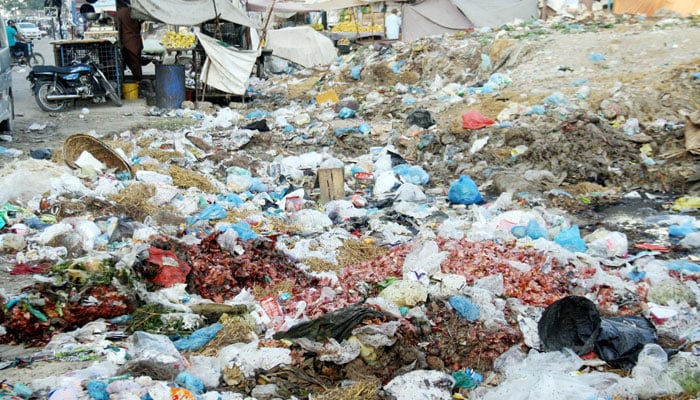 کراچی میں کچرےکے ڈھیر اورمکھیوں کی یلغار کا عالمی میڈیا میں چرچا 