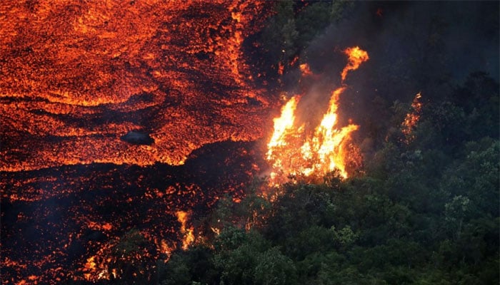 دنیا بھر کے 11 ہزار سائنسدانوں نے ماحولیاتی ایمرجنسی کا اعلان کردیا