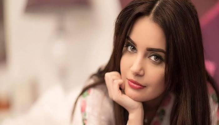 تم جیسے چوزوں کیلئے میں اکیلی ہی کافی ہوں، ارمینہ خان 