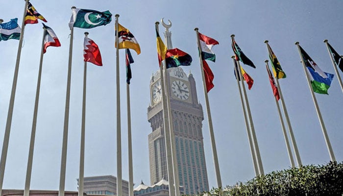 او آئی سی، مسئلہ کشمیر پر خصوصی اجلاس بلانے سےمتعلق پاکستان کی تجویز قبول  