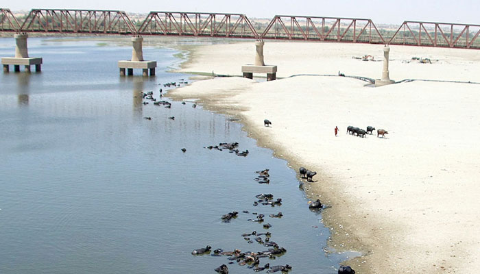 دریائے سندھ میں سطح آب کم، درختوں کی کٹائی، ماحولیاتی آلودگی کا خدشہ 
