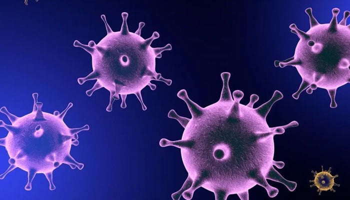 9 مہلک ترین وائرس جنہوں نے دنیا میں تباہی مچا دی 