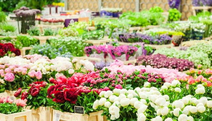 ویلنٹائن ڈے، برطانیہ کی مارکیٹوں میں سرخ پھولوں کی خریداری عروج پر