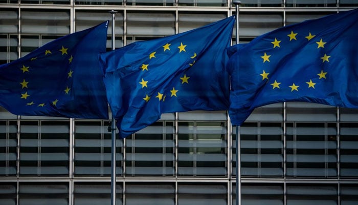 مسئلہ کشمیر یورپی یونین کی 2020 کی ترجیحات میں شامل نہ کرنے کا اعلان 
