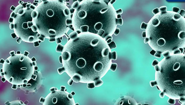 کورونا وائرس، مقبوضہ جموں وکشمیر کی سرحدیں سیل،لاک ڈائون کی خلاف ورزی پر 69افراد گرفتار 
