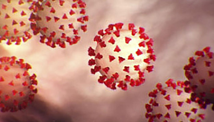 کورونا وائرس خصیوں میں انفیکشن کیے بغیر انہیں متاثر کرسکتا ہے، تحقیق 