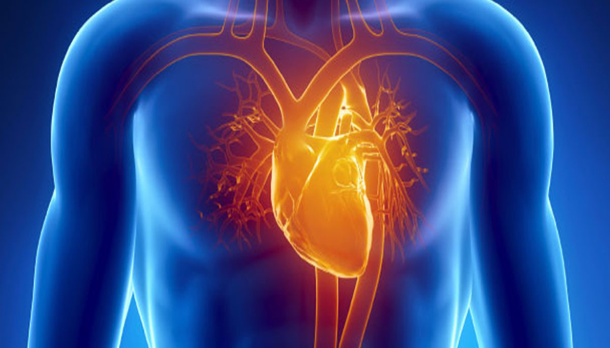 کورونا وائرس انسانی دل کو متاثر کرسکتا ہے، تحقیق 