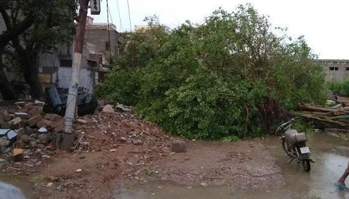 شدید بارشیں،شہر کی کئی سڑکوں پر درخت گرگئے