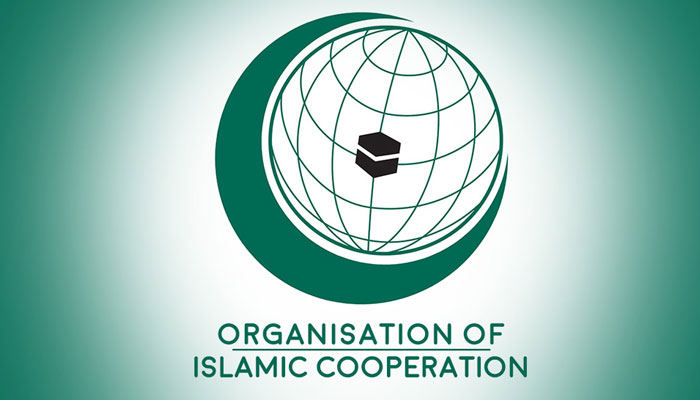 او آئی سی کے کسی رکن نے بھارت کیساتھ کشمیر کا معاملہ نہیں اٹھایا 