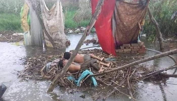 بارش اورسیلاب کی تباہ کاریاں،عمرکوٹ میں6لاکھ 67 ہزار افراد بےگھر،14 ہلاک،4800 گاؤں ڈوب گئے