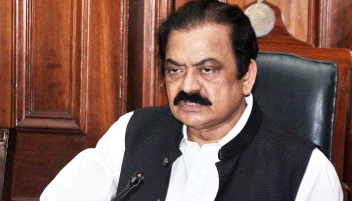 نواز شریف اپنا اور حکمران ٹولے کا علاج مکمل ہونے پر واپس آئیں گے، رانا ثناء