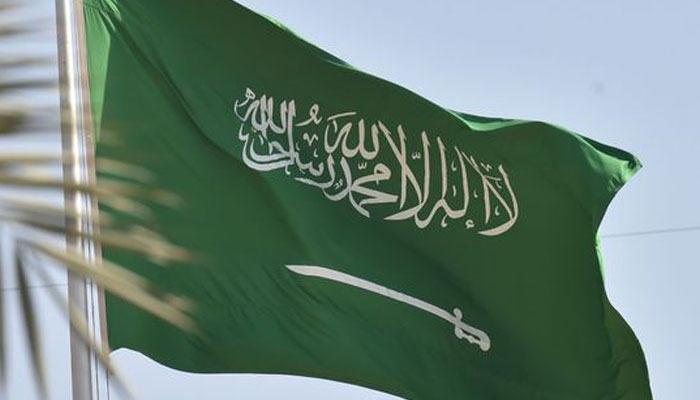 عالمی معیشت کو بحران سے نکالنے میں مدد کررہے ہیں، سعودی عرب