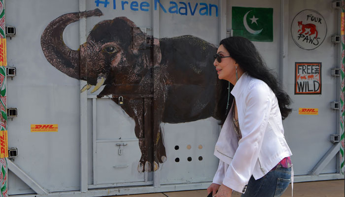گلوکارہ شیر کی ہاتھی ’کاون‘ کے محفوظ پناہ گاہ میں منتقلی پر دستاویزی فلم 