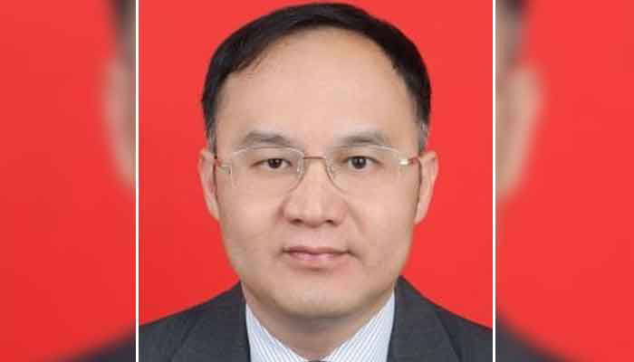 ٹھٹھہ ونڈ پاور پروجیکٹ اب تک  550 گیگاواٹ بجلی پیدا کر چکا ہے، چینی سفیر 