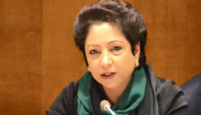 جوبائیڈن کی افغان پالیسی پاک امریکا تعلقات کی سمت مقرر کرے گی، ملیحہ لودھی