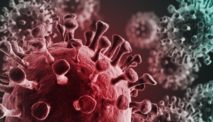 کورونا وائرس خون کے گودے کے خلیات کو نقصان پہنچا سکتا ہے، تحقیق