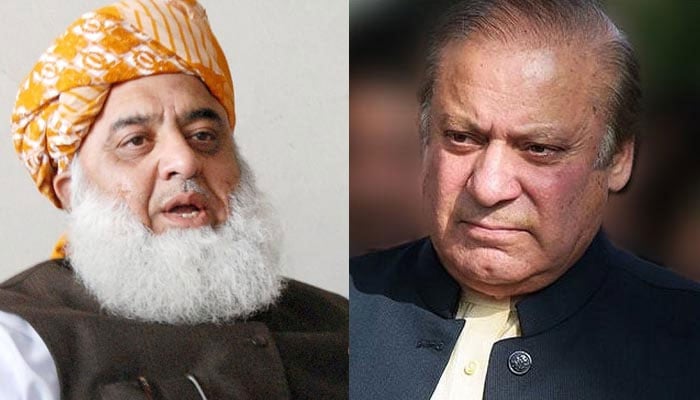 زرداری کی بات سے دکھ ہوا، نواز شریف اور فضل الرحمٰن کی  گفتگو