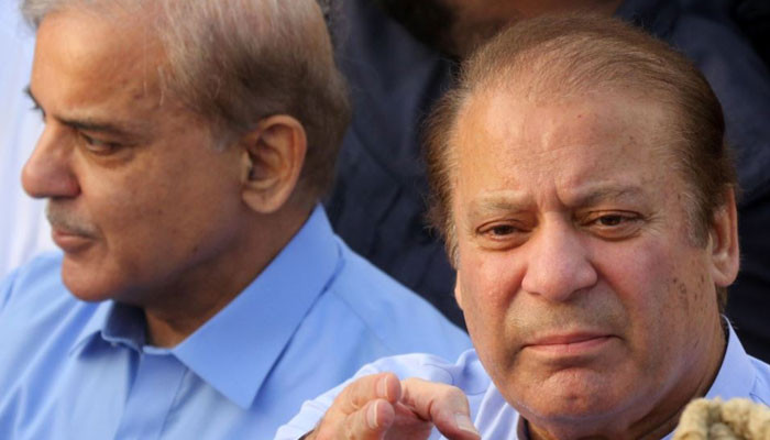 حکومت کا حدیبیہ پیپر ملز کیس کی نئے سرے سے تفتیش کا فیصلہ، شہباز شریف کے معاملے پر عدالت سے رجوع پر بھی غور - Vimarsana News