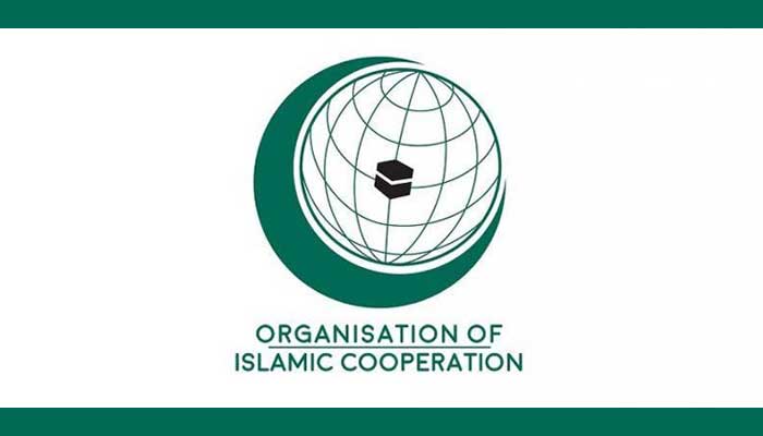 بین الاقوامی برادری فلسطینیوں کا تحفظ یقینی بنائے ،OIC کا ہنگامی اجلاس