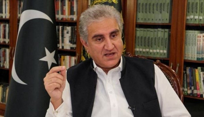 یہ باتیں ذومعنی انداز میں ہوتی ہیں، چین سے تعلقات ختم کرنے کیلئے کسی نے کھل کر نہیں کہا، شاہ محمود قریشی - Vimarsana News
