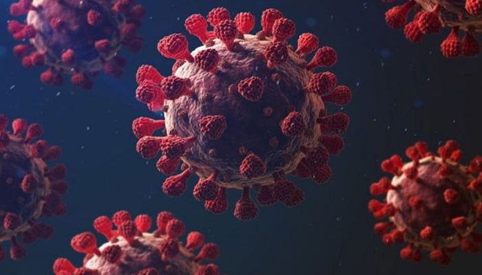 کورونا وائرس کی وجہ سے مردانہ کمزوری اور بانجھ پن کا خطرہ؟