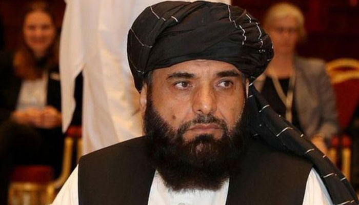 کابل انتظامیہ کے پاکستان پر الزامات بلاجواز، جنگ نہیں امن چاہتے ہیں، افغان طالبان