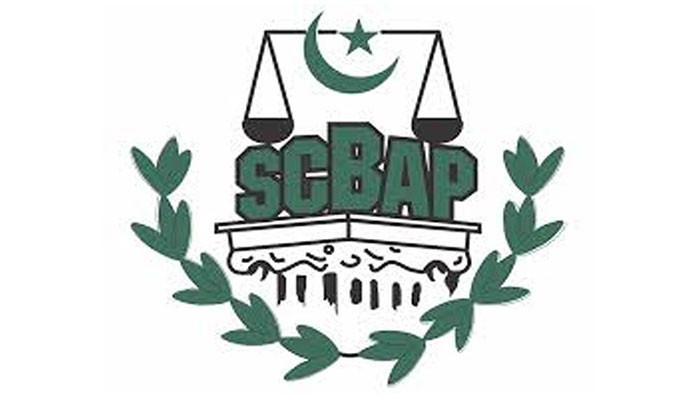 سپریم کورٹ بار کا PFUJ کے پارلیمنٹ کے باہر دھرنا کی حمایت کا اعلان - Vimarsana News