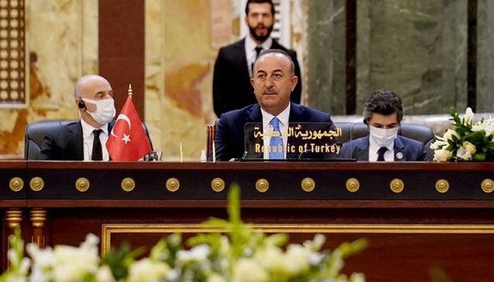 ترکی، امارات اور مصر کے ساتھ تعلقات بہتر کرنے کا خواہاں