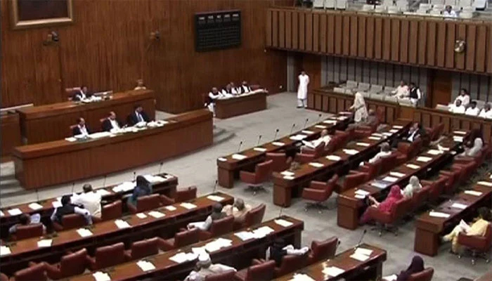 بجلی بلوں سے متعلق عام آ دمی کی شکایات کا ازالہ کیا جائے، سینیٹ کمیٹی