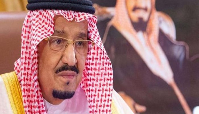 عالمی برادری دہشتگردوں کے سرپرستوں سے قوت سے نمٹے، سعودی شاہ 