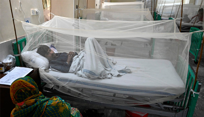 کراچی میں 24 گھنٹوں کے دوران ڈینگی وائرس کے 21 کیس رپورٹ