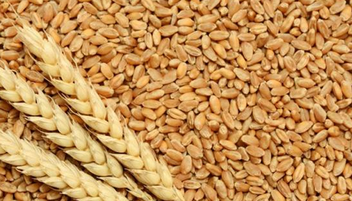 سندھ، گندم کی سو کلو سرکاری قیمت 4875 روپے مقرر