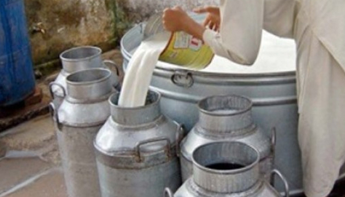 سکھر، شکارپور اور دیگر شہروں میں مضر صحت دودھ فروخت