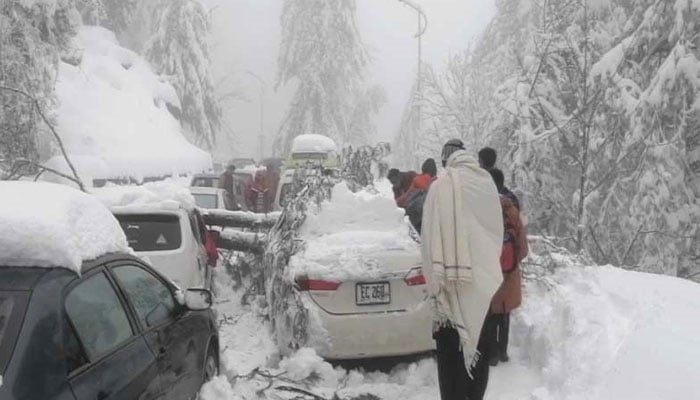 سانحہ مری، گلیات بدانتظامی اور مقامی لوگوں نے شرمناک رویہ  کے باعث ہوا، مذہبی، سیاسی، سماجی شخصیات