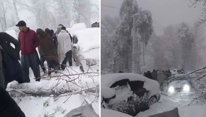 سانحہ مری، وزیراعلیٰ نے 4 میں سے ایک اجلاس میں بھی شرکت نہ کی