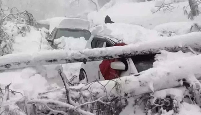 سانحہ مری انتظامیہ کی غفلت، محکمہ موسمیات کی وارننگ نظرانداز ہوئی، تحقیقاتی رپورٹ