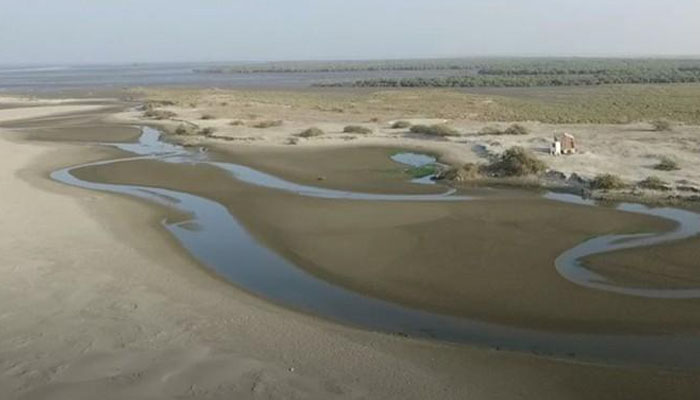 بنڈل اور بڈو جزیرے سندھ کی ملکیت، وفاق کا حق نہیں، محکمہ جنگلات