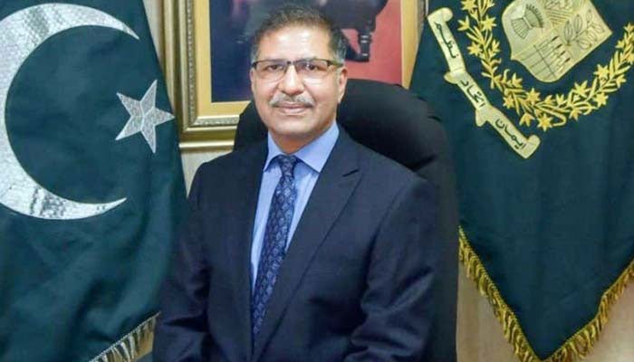 پارلیمانی نظام پر ہی اتفاق رائے ہے ہمارے کلچر کیلئے یہی بہترین ہے، علی ظفر
