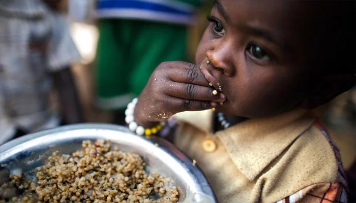 یوکرین جنگ، 4 کروڑ افریقی باشندے بھوک کا شکار ہوسکتے ہیں، امریکی سفیر