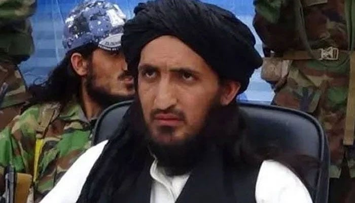 افغانستان، خراسانی سمیت 3 کالعدم TTP کمانڈرز ہلاک، واہگہ بارڈر سمیت کئی حملوں کے ماسٹر مائنڈ، ٹی ٹی پی نے ہلاکت کی تصدیق کردی