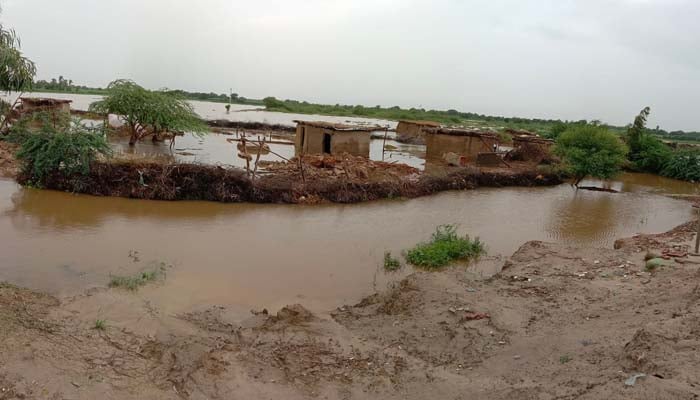 سندھ بھر میں خوفناک بارش، کچے مکانات سیلابی ریلوں میں بہہ گئے، ہر طرف تباہی کے مناظر، جانی و مالی نقصان