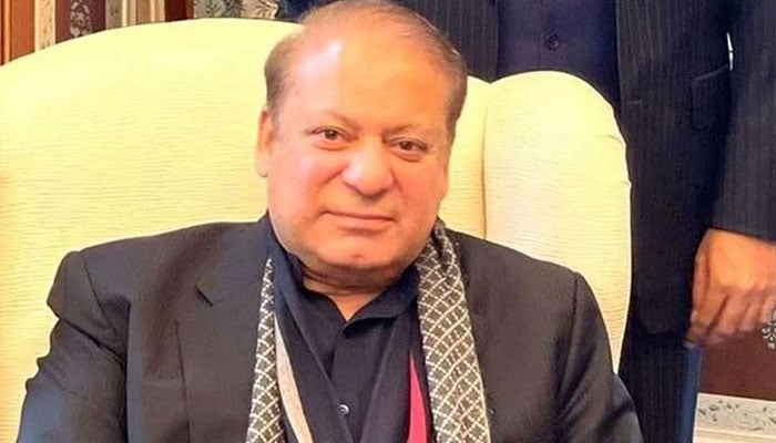 نواز شریف پہلے واپس آئیں پھر کوئی پوزیشن لیں، تجزیہ کار