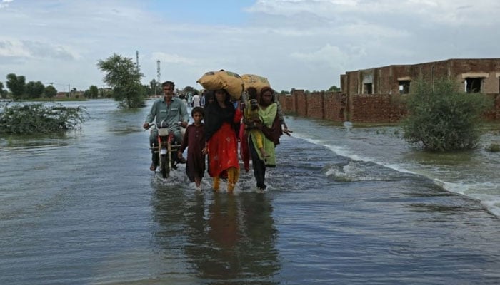 دادو، جوہی برانچ کو نامعلوم افراد نے کٹ لگا دیا، ذرائع محکمہ انہار